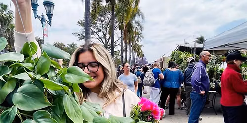 Chula Vista Farmer's Market