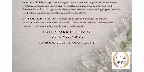 Reiki Energy Clearing & Chakra Balancing w\/ Crystal Light Bed w\/Tina