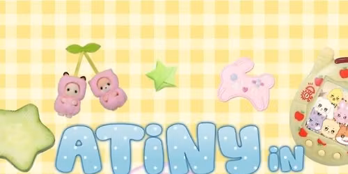 ATINY in Trinketville - WDSM, IA KPOP Event