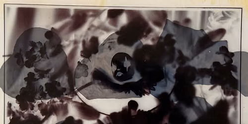 6\/28 Anthotypes + Chlorophyll Prints by Lora O\u2019Shaughnessy