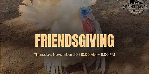 Friendsgiving at Spring Haven Farm