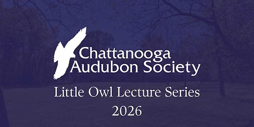Evolving Projectile Technologies in the Late Middle Woodland