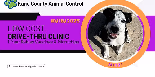 Low Cost Drive-Thru Rabies Vaccine and Microchip Clinic