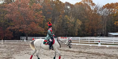 WMDA Fun show- Dressage & 2 Phase