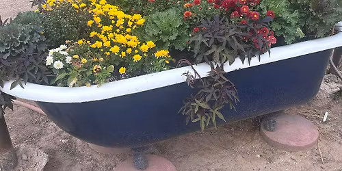 Tea with Moss, Moon and Meadow Tea Co. 