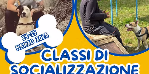 Classi di socializzazione con Gigi Raffo e Vincenzo Montesano