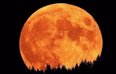 Guided Full Moon Meditation - The Hunter's Moon!