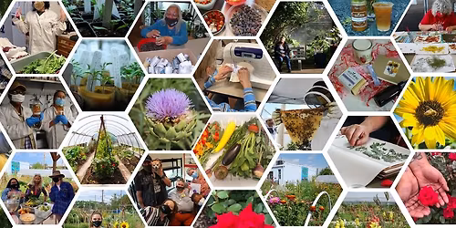 EarthLinks Plant Sale