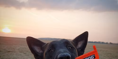 Memori\u00e1l J. \u010cern\u00e9ho - stopa\u0159sk\u00fd speci\u00e1l