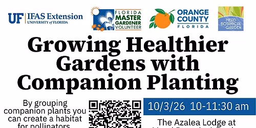 Growing Healthier Gardens with Companion Planting