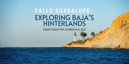 Desert Museum Travel: Valle Guadalupe\u2013Exploring Baja\u2019s Hinterlands