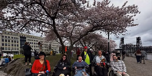 Cherry Blossoms\/Bridge Hike Portland 5\/17\/2027 12 to 3pm (98 NW Naito Parkway Portland)