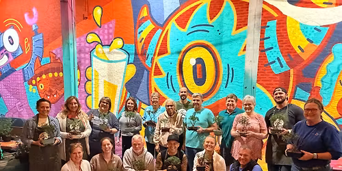 Olive Tree Bonsai Workshop, Panama City