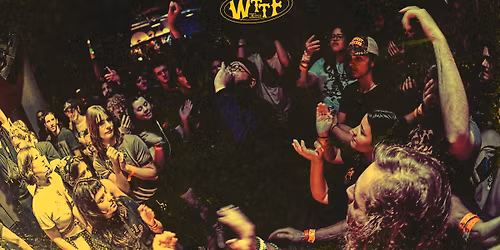 Zeta, Andy the Doorbum, Bravo Pueblo, and Once Below Joy