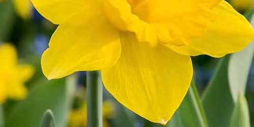 GFWC Flushing High School Craft Bazaar