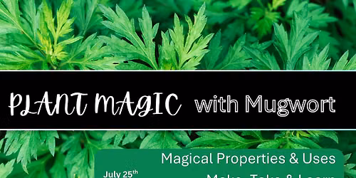 Plant Magic with Mugwort