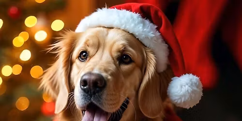 Santa Paws at east Somerset Railway