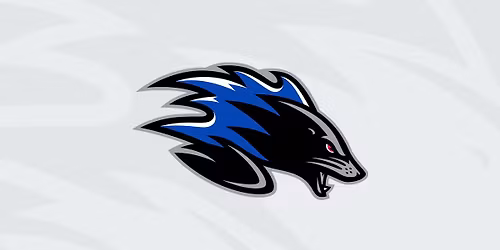 Saint John Sea Dogs vs Charlottetown Islanders