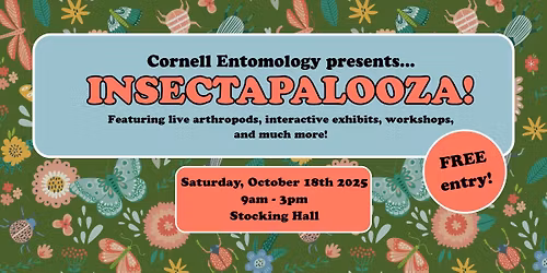 Insectapalooza 2025