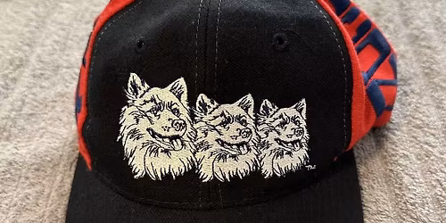 UConn Huskies at Arizona Wildcats Baseball at Hi Corbett Field