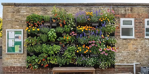 What Next's Living Wall