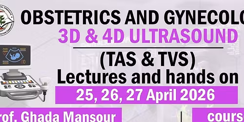 Ob\/Gyn 3D Ultrasound