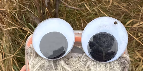 New Trails - New Opportunities