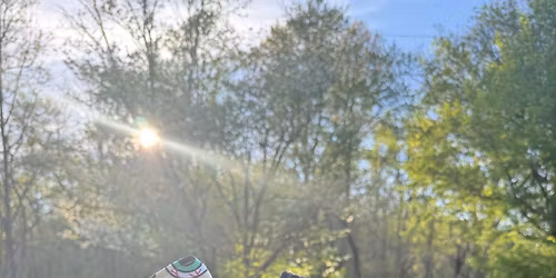 Sundays on the Orchard