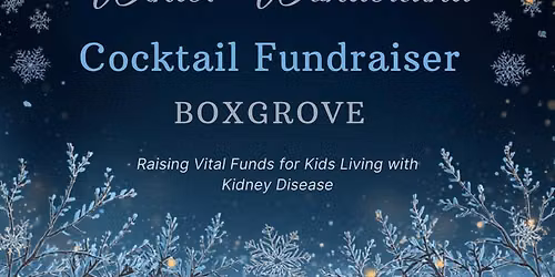 Winter Wonderland Cocktail Fundraiser 