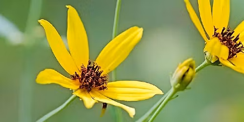 Environment Virginia Symposium