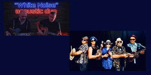 White Noise and Luemdillies Band Night - Two bands for twice the action and appeal