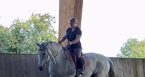 Stage \u00e9quitation raisonn\u00e9e: dressage et gymnastique du cheval.