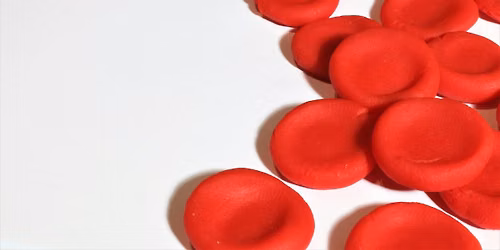 Red Cross Blood Drive - June
