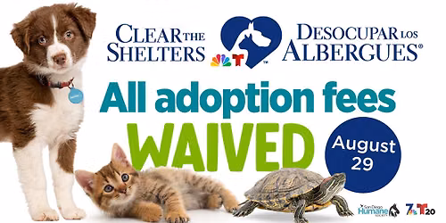Clear the Shelters