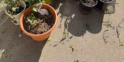 Garden plotters 