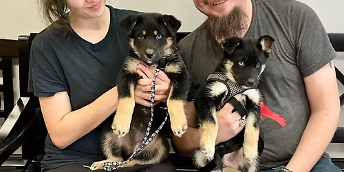 Vaccination Clinic with FREE Distemper vaccinations from Petco Love