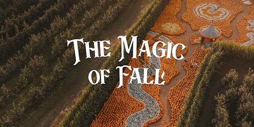 Magic of Fall at Taves Family Farms