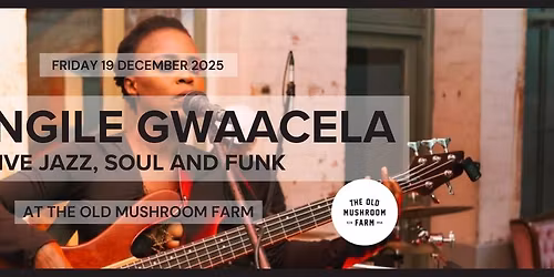 Sibongile Gwaacela LIVE: Jazz, Soul and Funk