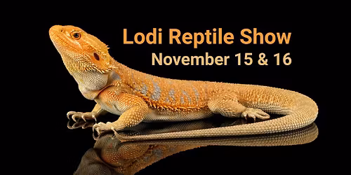 Lodi Reptile Show 2025