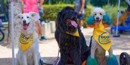 DogFest Houston