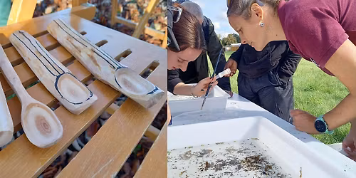 Discover Wild Luton (Tuesday activities)