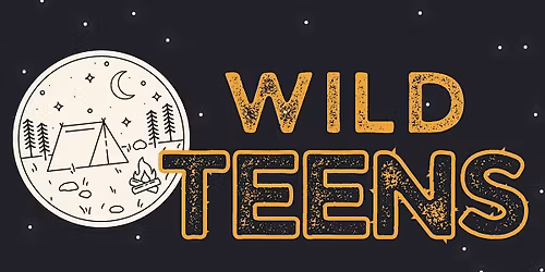Wild Teens