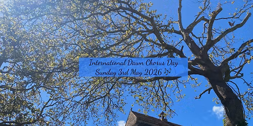 Dawn Chorus and Sunrise - La Hougue Bie  