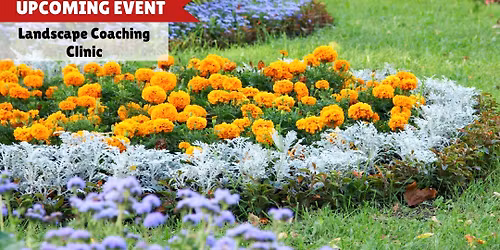 Landscape Coaching Clinic
