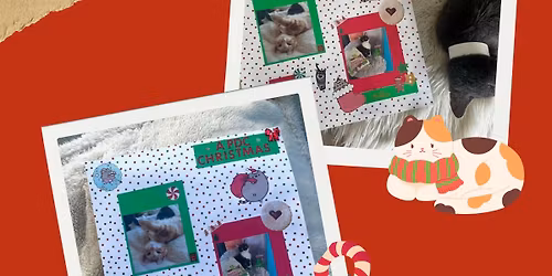 Christmas Scrapbooking PLUS Rescue Kittens
