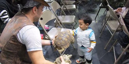 Binx the Reptile Guy – Dino Scales & Tails