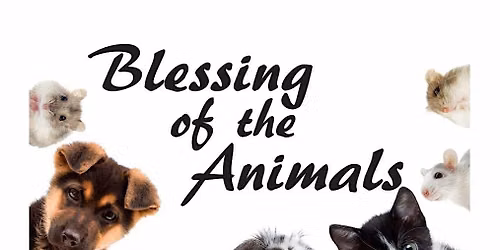St. Francis Blessing of the Animals on Oct. 4 at 3:00 pm