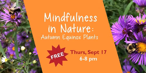 Mindfulness in Nature: Autumn Equinox Plants