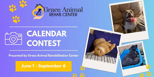 Pet Photo Fundraiser