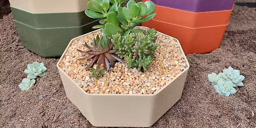 Succulent Bowl Workshop